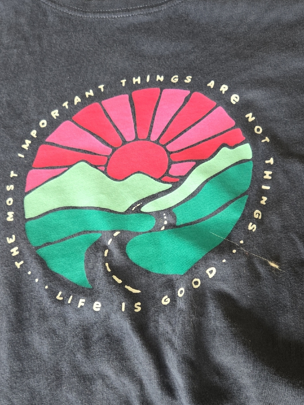 LIFE IS GOOD IMPORTANT THINGS ARE NOT THINGS!!TSHIRT. XXL. BLUE WITH PINK.